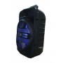Boxa Activa Cu Statie Tip Troller , Microfon , Bluetooth , FM , USB , Card SD ,Telecomanda , Lumini Party , Putere 30 W ,Negru