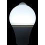 Bec cu LED , senzor miscare , senzor lumina , 12 W , fasung  E 27 , lumina rece , elSales , alb