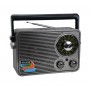 Radio Portabil elSales MD-1176 , Difuzor 8 cm , Bluetooth , USB , MicroSD , Auxiliar , Acumulator Integrat , Gri