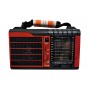 Radio elSales ELS-889 cu USB , cititor card , FM , AM , rosu