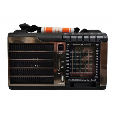 Radio elSales ELS-889 cu USB , cititor card , FM , AM , gri