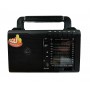 Radio elSales ELS-888 cu USB , cititor card , FM , AM , negru