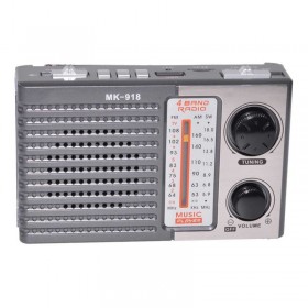 Radio portabil elSales ELS-MK-918 cu USB, MicroSD FM, AM, SW, lanterna, gri