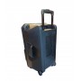 Boxa Activa Portabila Tip Troller, Microfon Wireless , Telecomanda , Cititor Stick , Card SD , FM Radio , Bluetooth , 100 W
