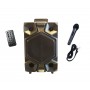 Boxa Activa Cu Statie Tip Troller , Microfon , Bluetooth , FM , USB , Card SD,Telecomanda ,Lumini Party, Negru