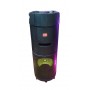 Boxa Activa Portabila , Statie Amplificare Integrata , Microfon Wireless , Telecomanda , Bluetooth , Cititor Stick USB